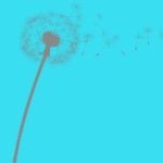 counselling session london ontario